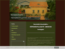 Tablet Screenshot of fejlesztohaz.freewb.hu