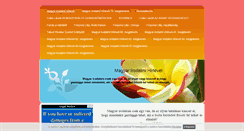 Desktop Screenshot of irodalmihirlevel.freewb.hu
