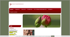 Desktop Screenshot of borostyanszalon.freewb.hu