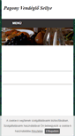Mobile Screenshot of pagonyvendeglo.freewb.hu