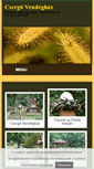 Mobile Screenshot of csergovendeghaz.freewb.hu